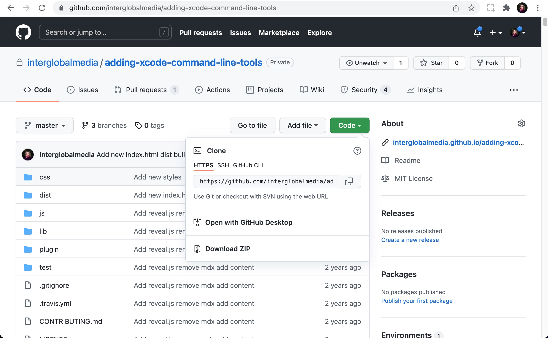Screen shot of inner contents of the Github repository Code button